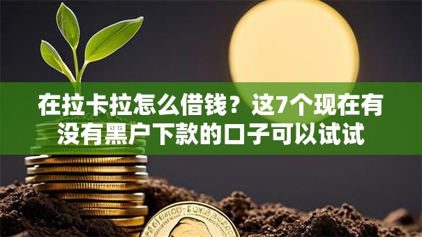 在拉卡拉怎么借钱？这7个现在有没有黑户下款的口子可以试试