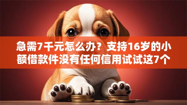 急需7千元怎么办？支持16岁的小额借款件没有任何信用试试这7个无门槛平台