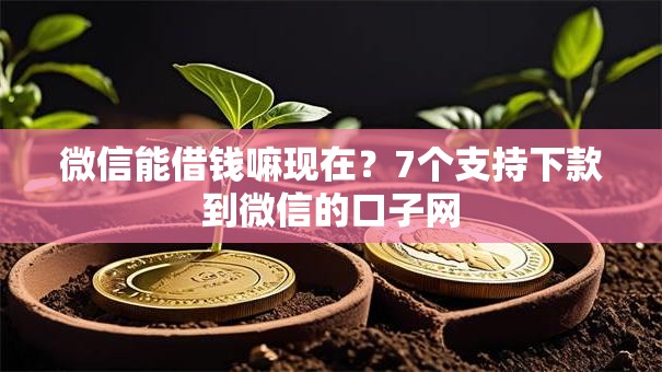 微信能借钱嘛现在？7个支持下款到微信的口子网