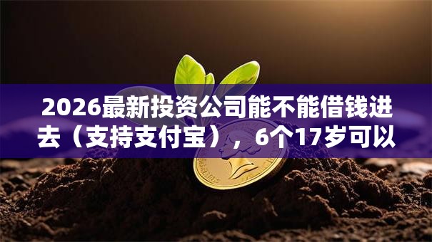 2026最新投资公司能不能借钱进去（支持支付宝），6个17岁可以贷款的平台无私分享