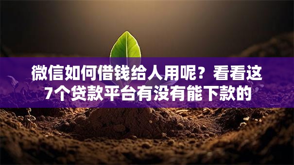 微信如何借钱给人用呢？看看这7个贷款平台有没有能下款的