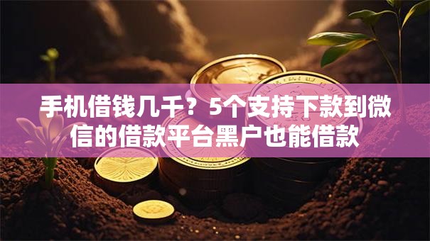 手机借钱几千？5个支持下款到微信的借款平台黑户也能借款