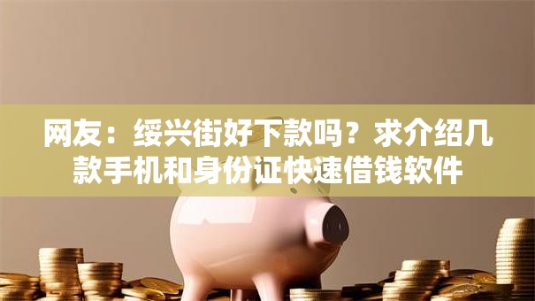 网友：绥兴街好下款吗？求介绍几款手机和身份证快速借钱软件