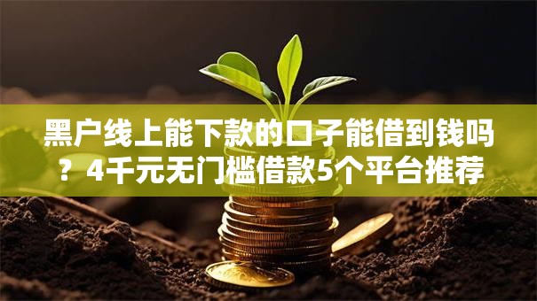 黑户线上能下款的口子能借到钱吗？4千元无门槛借款5个平台推荐