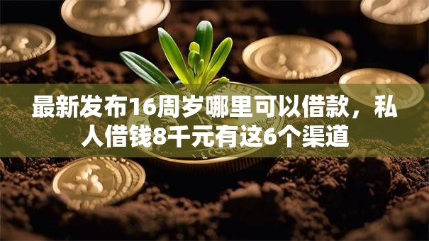 最新发布16周岁哪里可以借款，私人借钱8千元有这6个渠道