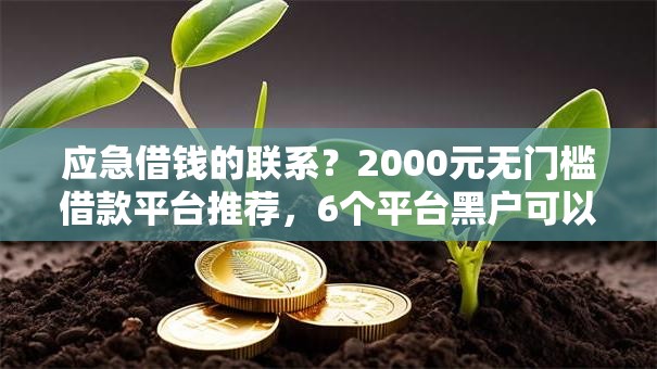 应急借钱的联系？2000元无门槛借款平台推荐，6个平台黑户可以下款的那种盘点