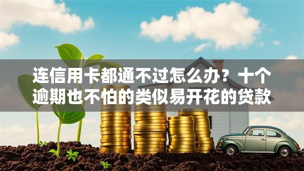 连信用卡都通不过怎么办？十个逾期也不怕的类似易开花的贷款平台