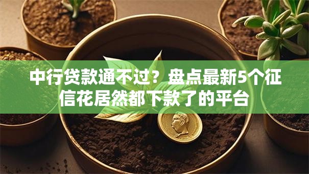 中行贷款通不过？盘点最新5个征信花居然都下款了的平台