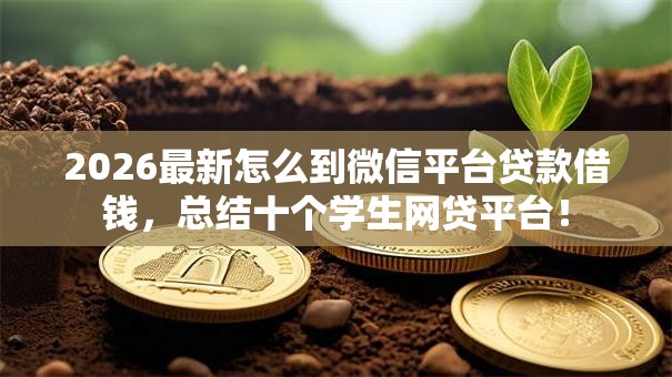 2026最新怎么到微信平台贷款借钱，总结十个学生网贷平台！