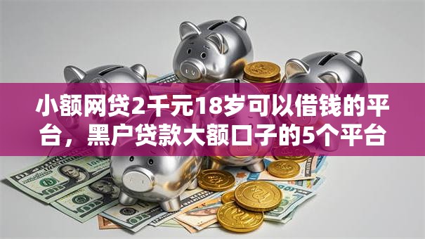 小额网贷2千元18岁可以借钱的平台，黑户贷款大额口子的5个平台介绍