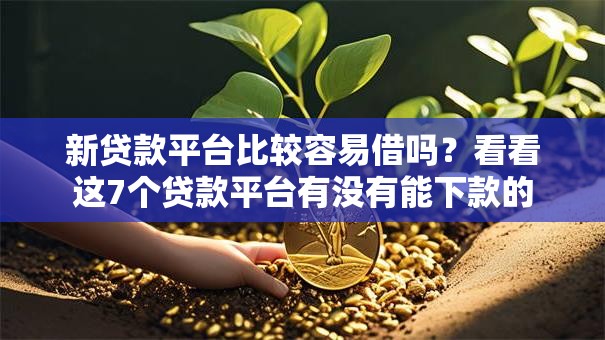 新贷款平台比较容易借吗？看看这7个贷款平台有没有能下款的