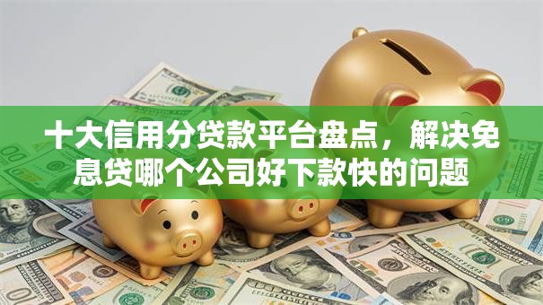 十大信用分贷款平台盘点，解决免息贷哪个公司好下款快的问题