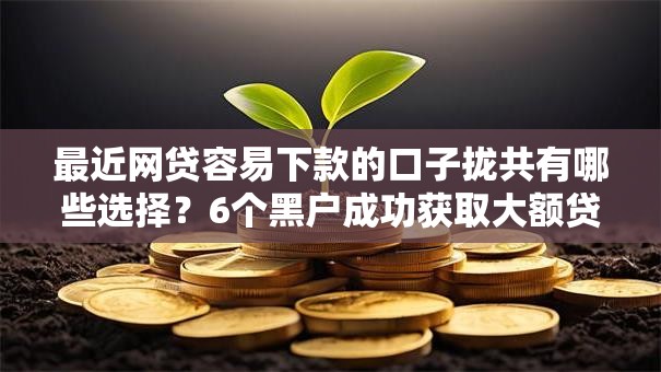 最近网贷容易下款的口子拢共有哪些选择？6个黑户成功获取大额贷款的平台详解