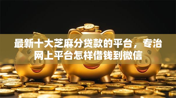 最新十大芝麻分贷款的平台，专治网上平台怎样借钱到微信