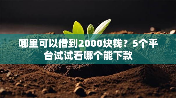 哪里可以借到2000块钱？5个平台试试看哪个能下款