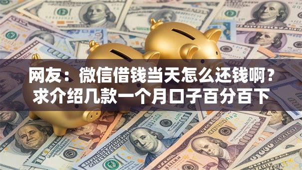 网友：微信借钱当天怎么还钱啊？求介绍几款一个月口子百分百下款的平台