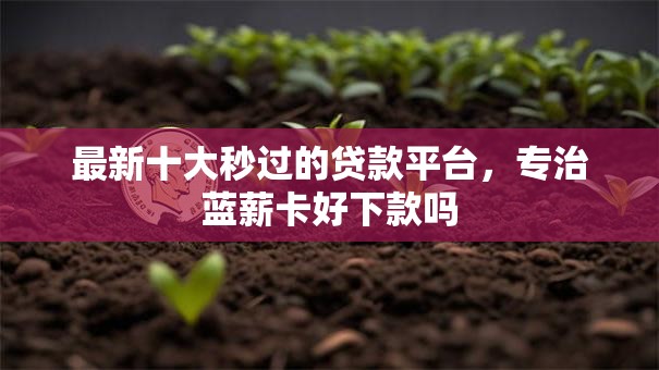 最新十大秒过的贷款平台，专治蓝薪卡好下款吗