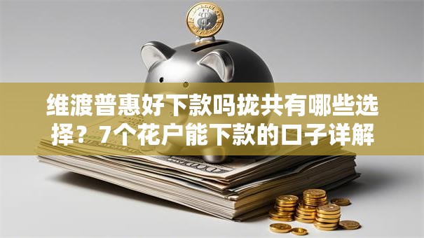 维渡普惠好下款吗拢共有哪些选择？7个花户能下款的口子详解
