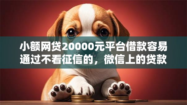 小额网贷20000元平台借款容易通过不看征信的，微信上的贷款中介可靠吗的7个平台介绍