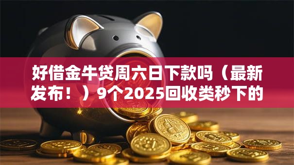 好借金牛贷周六日下款吗（最新发布！）9个2025回收类秒下的口子