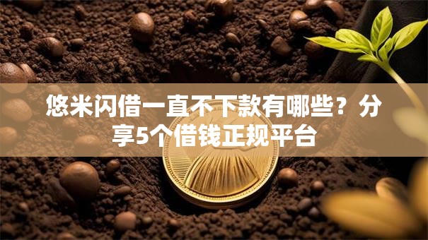 悠米闪借一直不下款有哪些？分享5个借钱正规平台