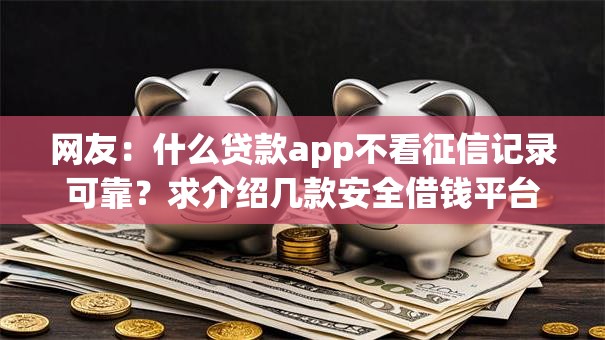 网友：什么贷款app不看征信记录可靠？求介绍几款安全借钱平台
