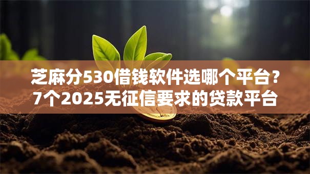 芝麻分530借钱软件选哪个平台？7个2025无征信要求的贷款平台推荐