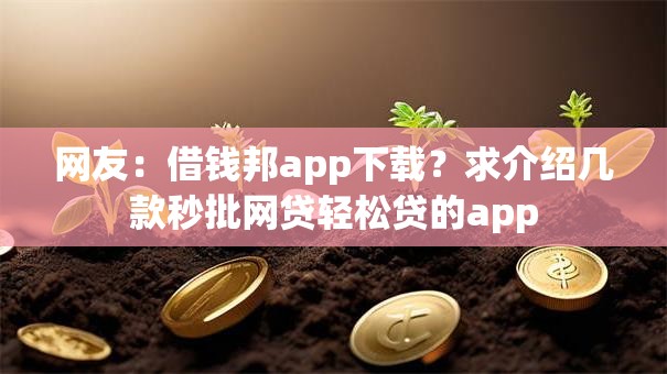 网友：借钱邦app下载？求介绍几款秒批网贷轻松贷的app