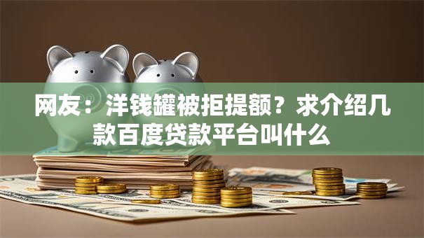 网友：洋钱罐被拒提额？求介绍几款百度贷款平台叫什么