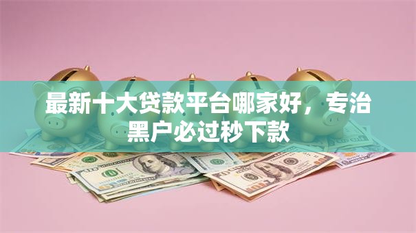 最新十大贷款平台哪家好，专治黑户必过秒下款