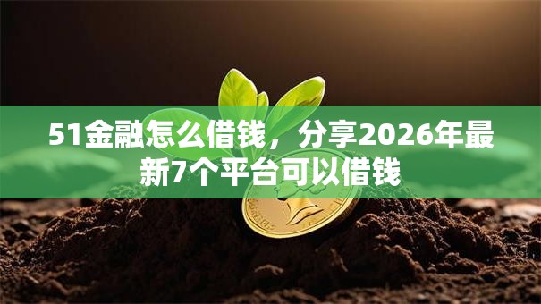 51金融怎么借钱，分享2026年最新7个平台可以借钱