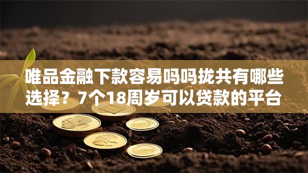 唯品金融下款容易吗吗拢共有哪些选择？7个18周岁可以贷款的平台详解