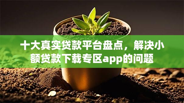 十大真实贷款平台盘点，解决小额贷款下载专区app的问题