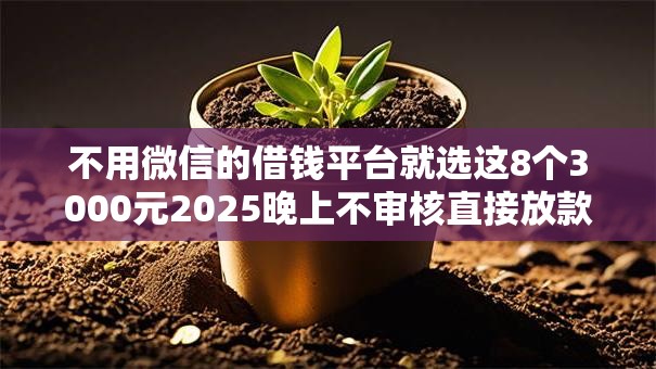 不用微信的借钱平台就选这8个3000元2025晚上不审核直接放款口子