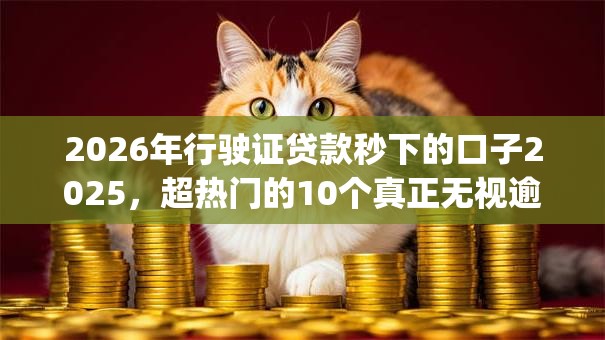 2026年行驶证贷款秒下的口子2025，超热门的10个真正无视逾期大数据的网贷app推荐