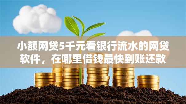 小额网贷5千元看银行流水的网贷软件，在哪里借钱最快到账还款的8个平台介绍