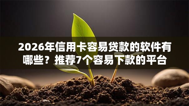 2026年信用卡容易贷款的软件有哪些？推荐7个容易下款的平台