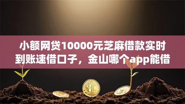 小额网贷10000元芝麻借款实时到账速借口子，金山哪个app能借钱的8个平台介绍
