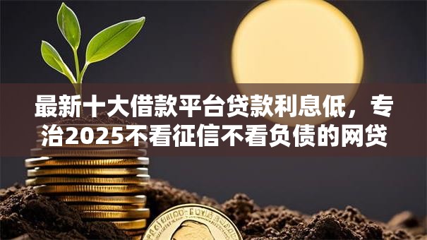 最新十大借款平台贷款利息低，专治2025不看征信不看负债的网贷