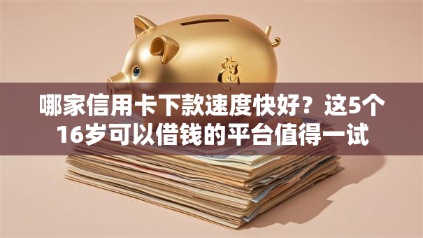 哪家信用卡下款速度快好?这5个16岁可以借钱的平台值得一试 哪家信用卡下款速度快好?这5个16岁可以借钱的平台值得一试
