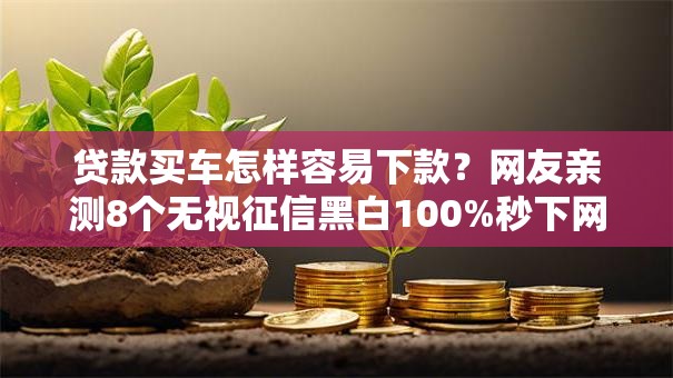 贷款买车怎样容易下款？网友亲测8个无视征信黑白100%秒下网贷平台盘点