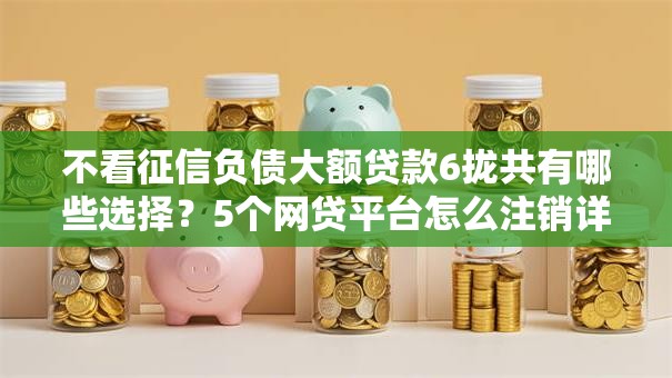 不看征信负债大额贷款6拢共有哪些选择？5个网贷平台怎么注销详解