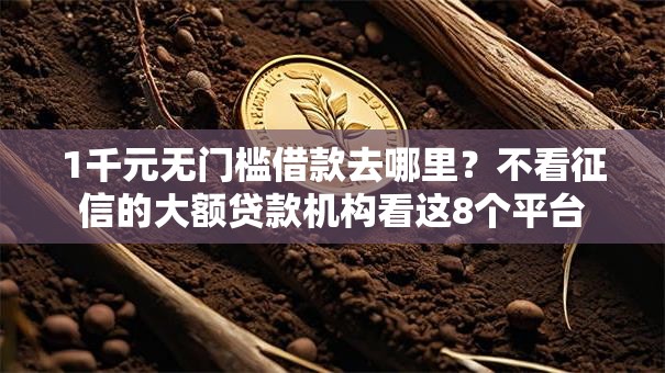 1千元无门槛借款去哪里？不看征信的大额贷款机构看这8个平台