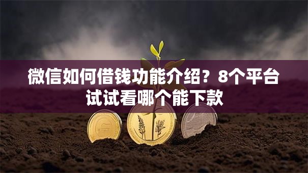 微信如何借钱功能介绍？8个平台试试看哪个能下款