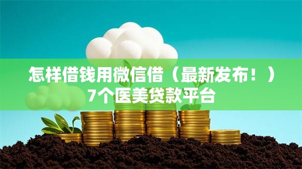 怎样借钱用微信借（最新发布！）7个医美贷款平台