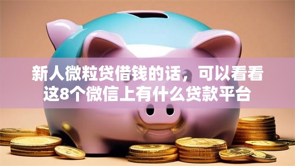 新人微粒贷借钱的话，可以看看这8个微信上有什么贷款平台