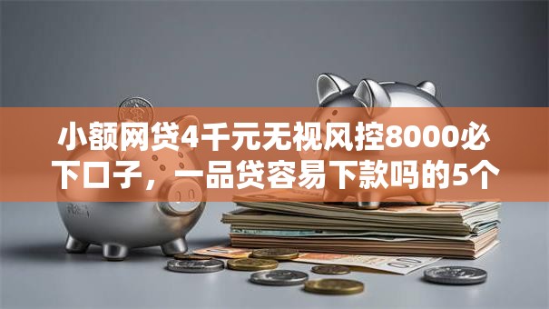 小额网贷4千元无视风控8000必下口子，一品贷容易下款吗的5个平台介绍
