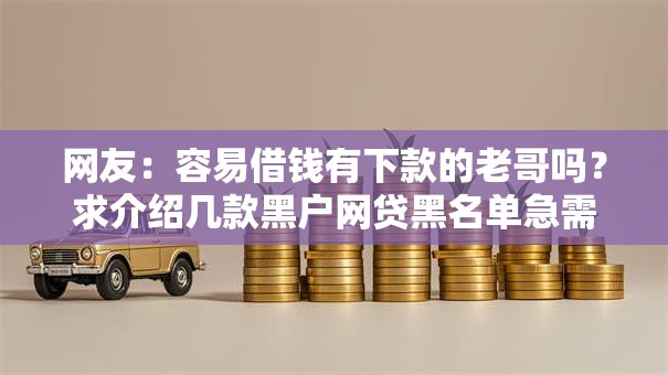 网友：容易借钱有下款的老哥吗？求介绍几款黑户网贷黑名单急需一万平台能下款