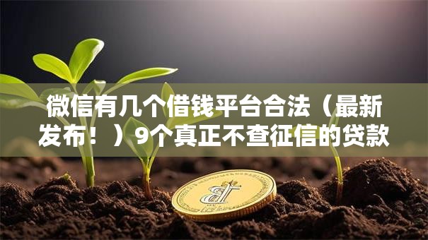 微信有几个借钱平台合法（最新发布！）9个真正不查征信的贷款平台