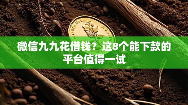 微信九九花借钱？这8个能下款的平台值得一试